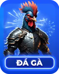 đá gà 100win
